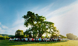 lfl page image rooted in hope 250x150 1