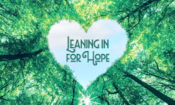 lfl page image eoy giving 2026 250x150 1